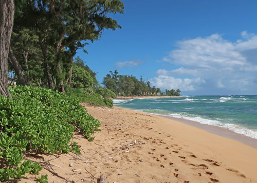 Beaches on the East Coast of Kauai