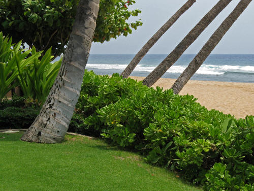 Hotels on the Island of Kauai